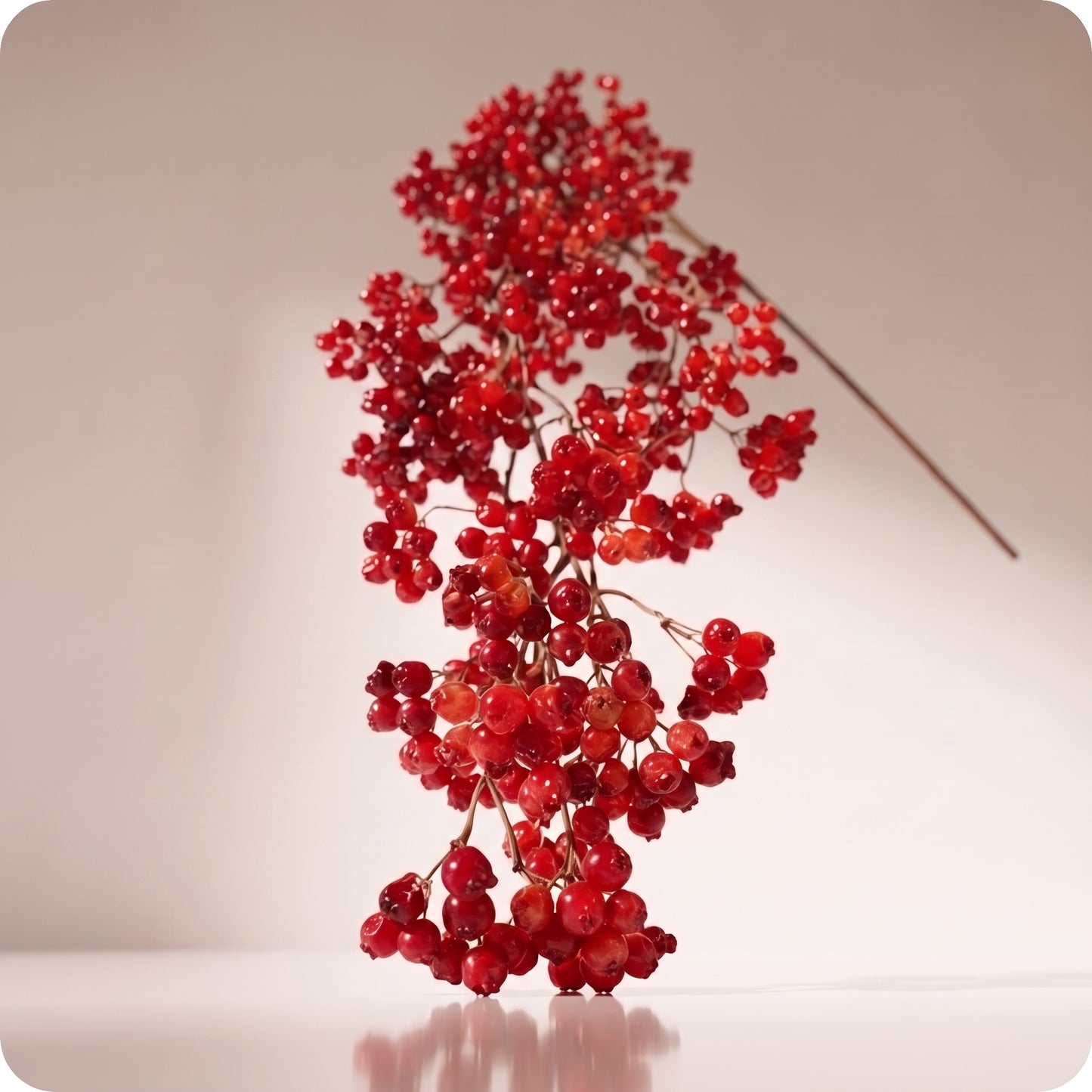 Rama colgante de mini berries