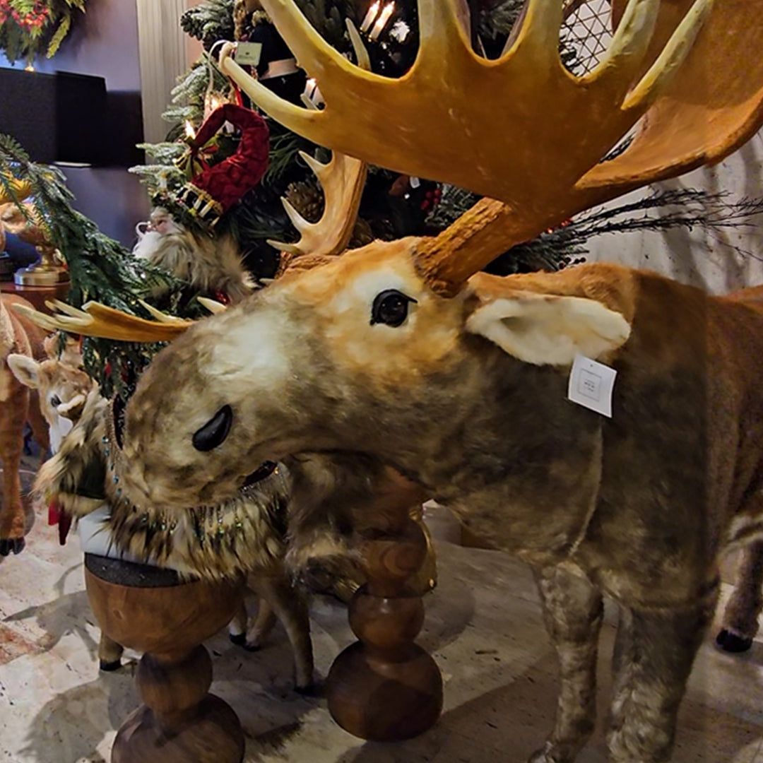 160H RENO RUDOLPH