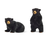 SET DE OSOS CAFÉ OBSCURO