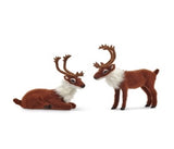 RENOS CAFÉ CON BALNCO