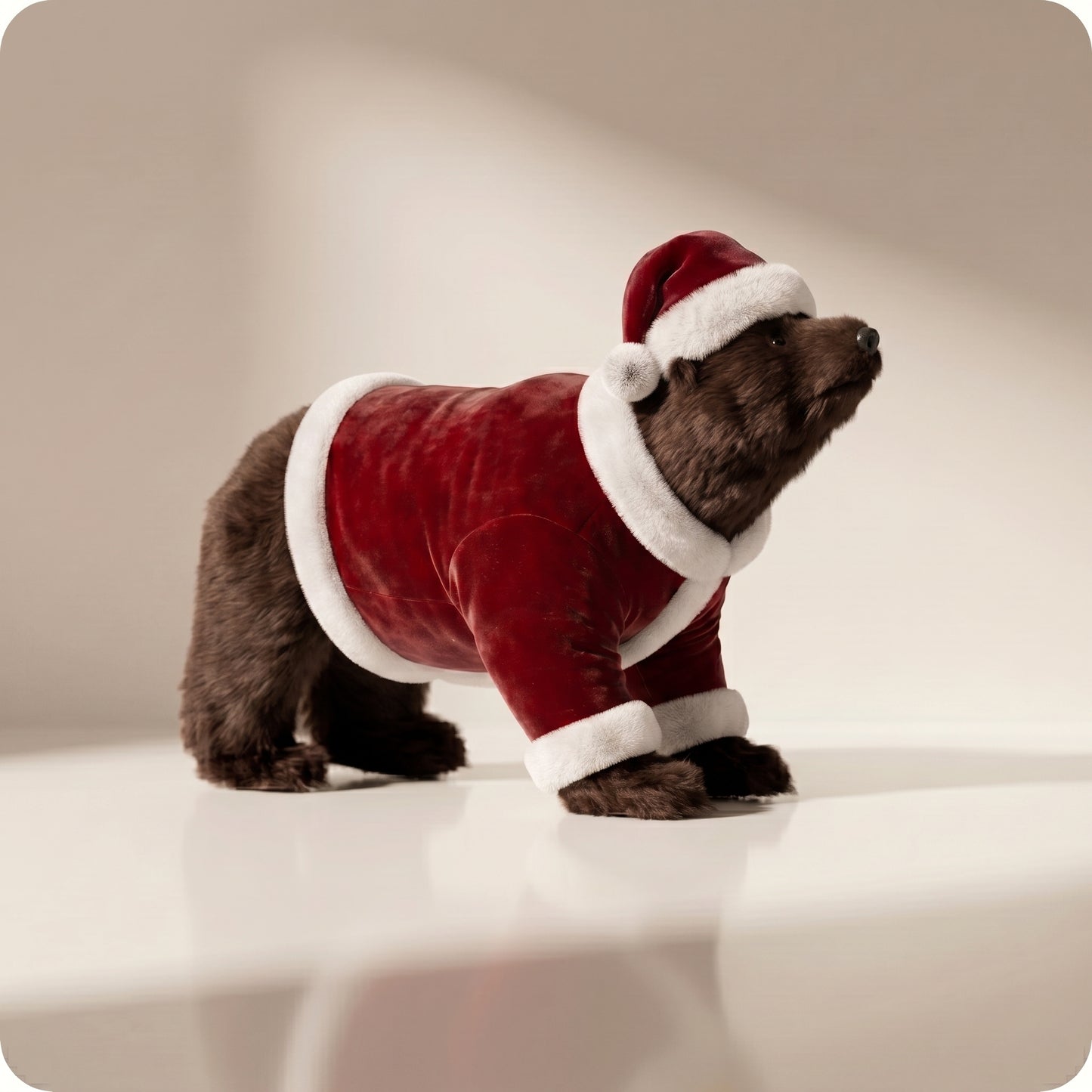Oso Milo Santa