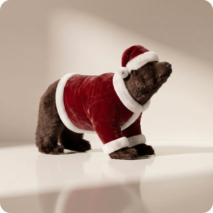 Oso Milo Santa