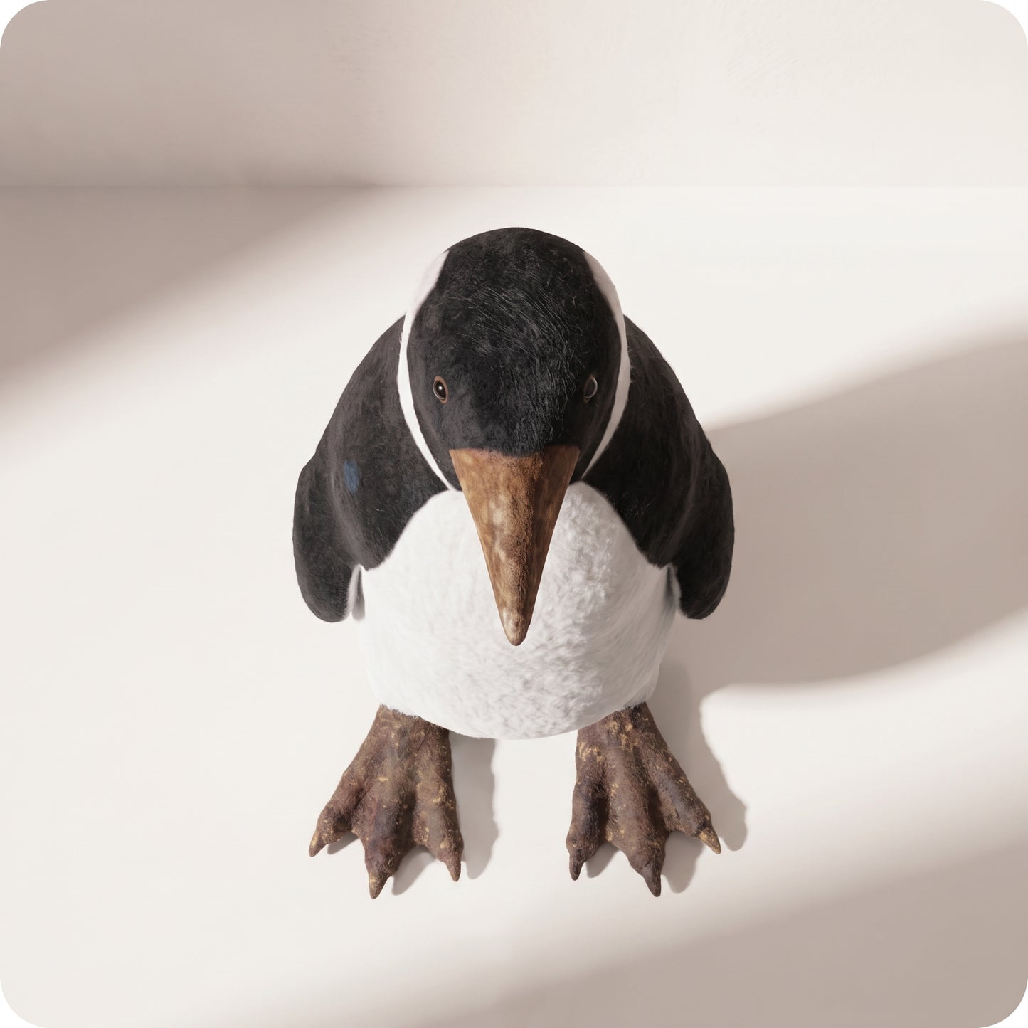 Pingüino Pequeño