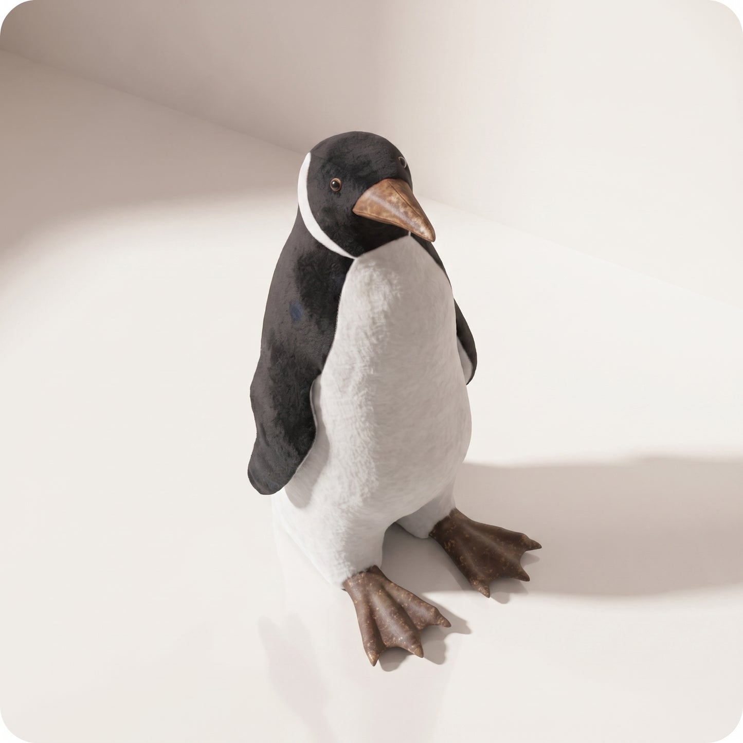 Pingüino Pequeño