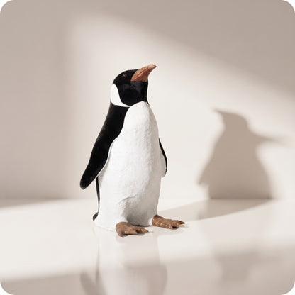Pingüino Pequeño mirando arriba