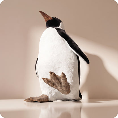Pingüino Pequeño mirando arriba