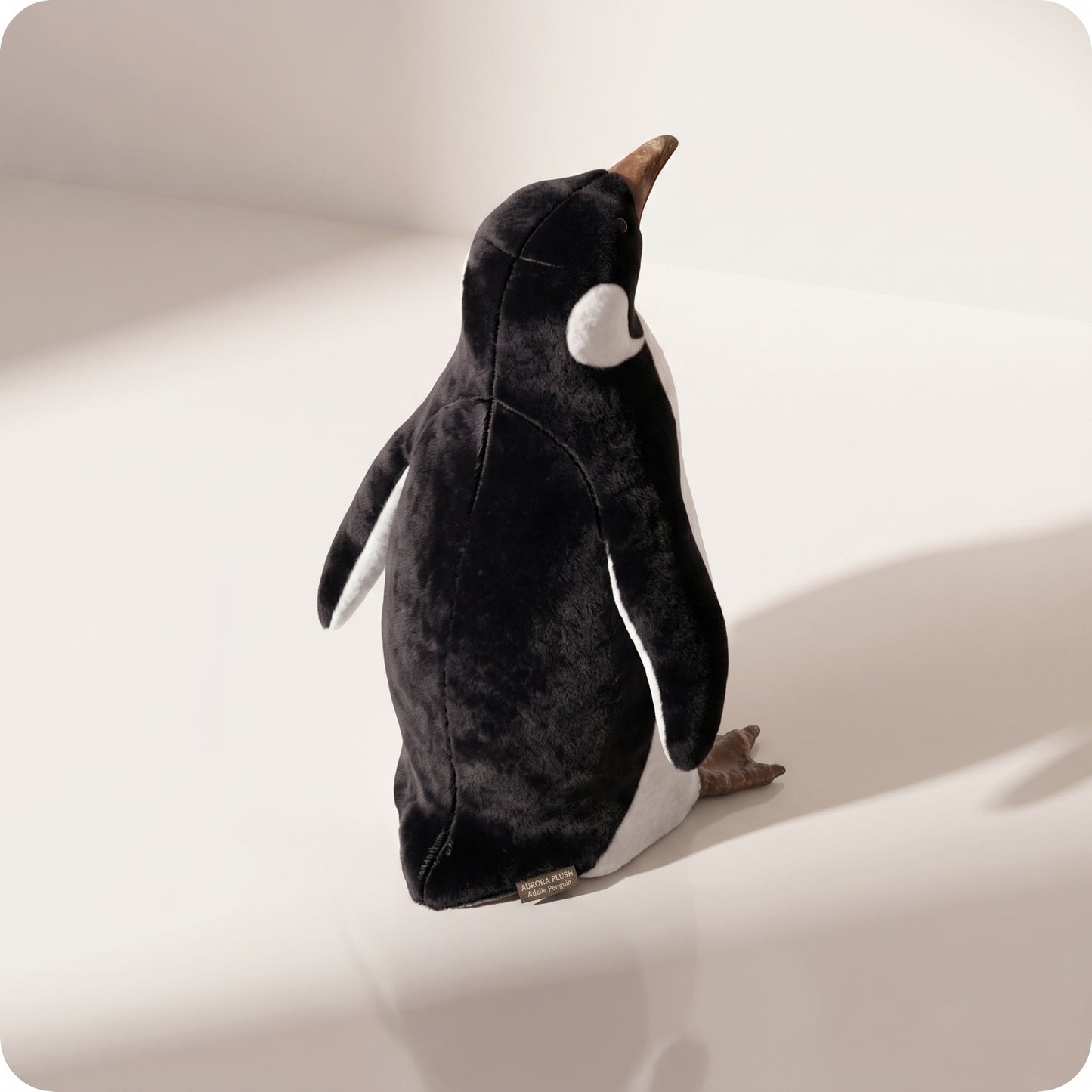 Pingüino Pequeño mirando arriba