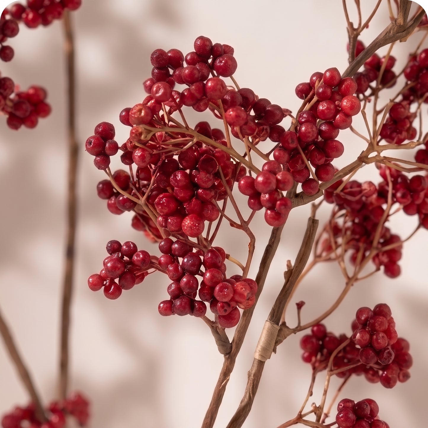 Red Berry Spray