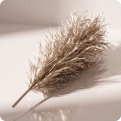 Vara de pluma metálica para césped, champán