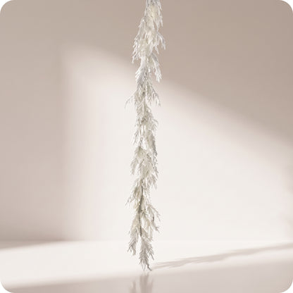 Guirnalda norflok blanca