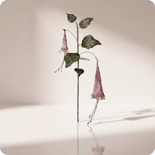 Rama de hoja morning glory
