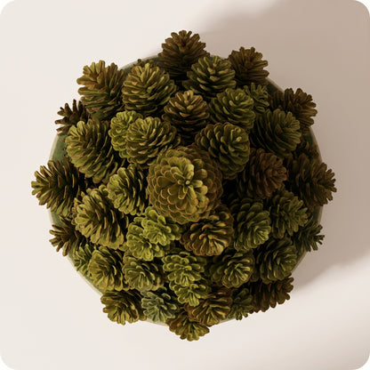 Árbol de piñas verde ch