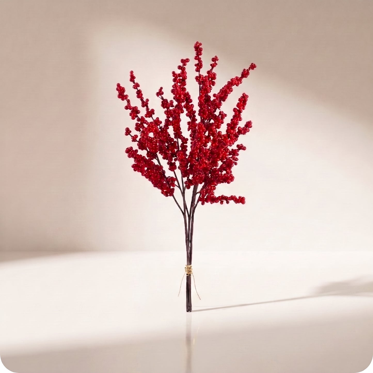 Paquete de 3 ramas de berries