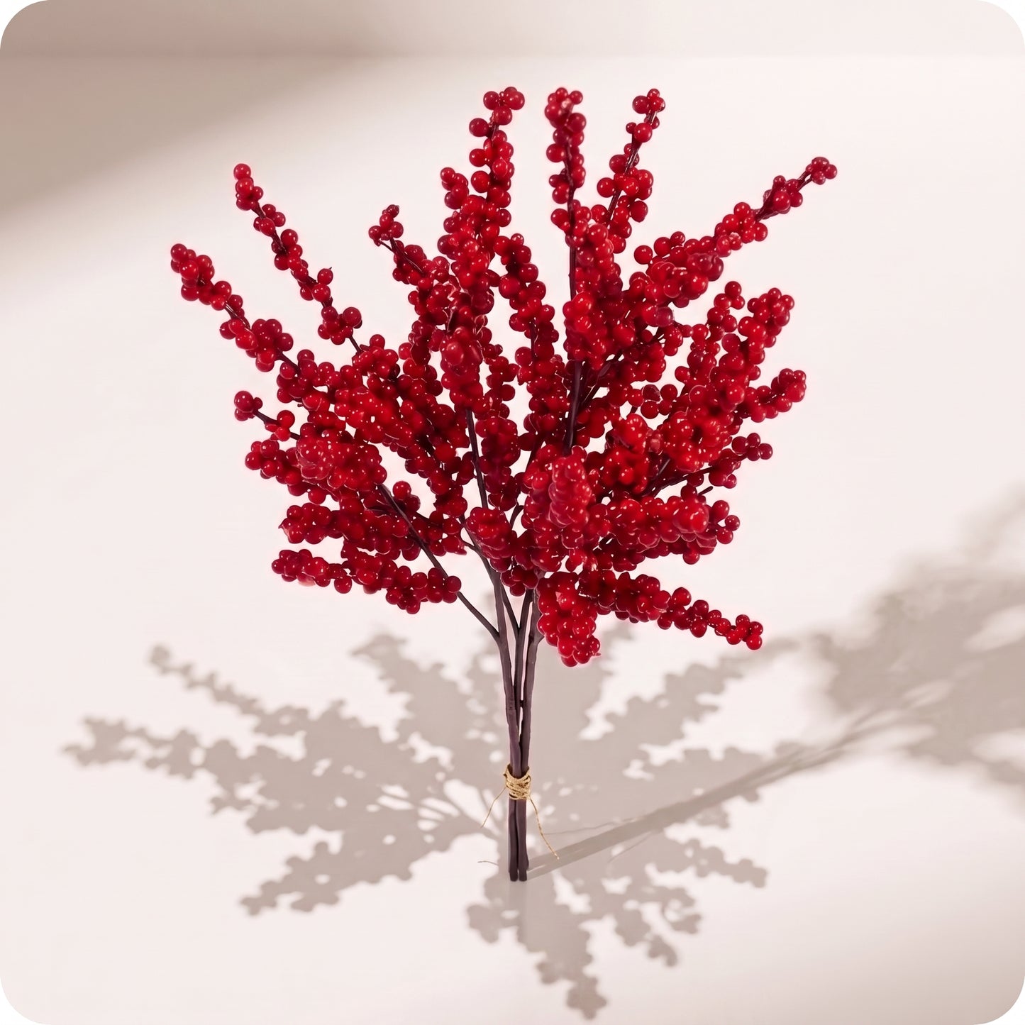 Paquete de 3 ramas de berries