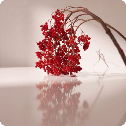 Rama colgante de mini berries