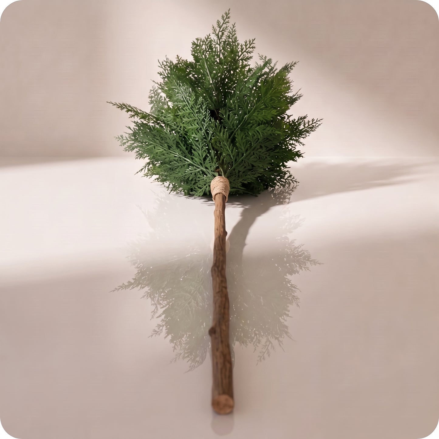 Rama verde de arborvitae bundle with jute tie