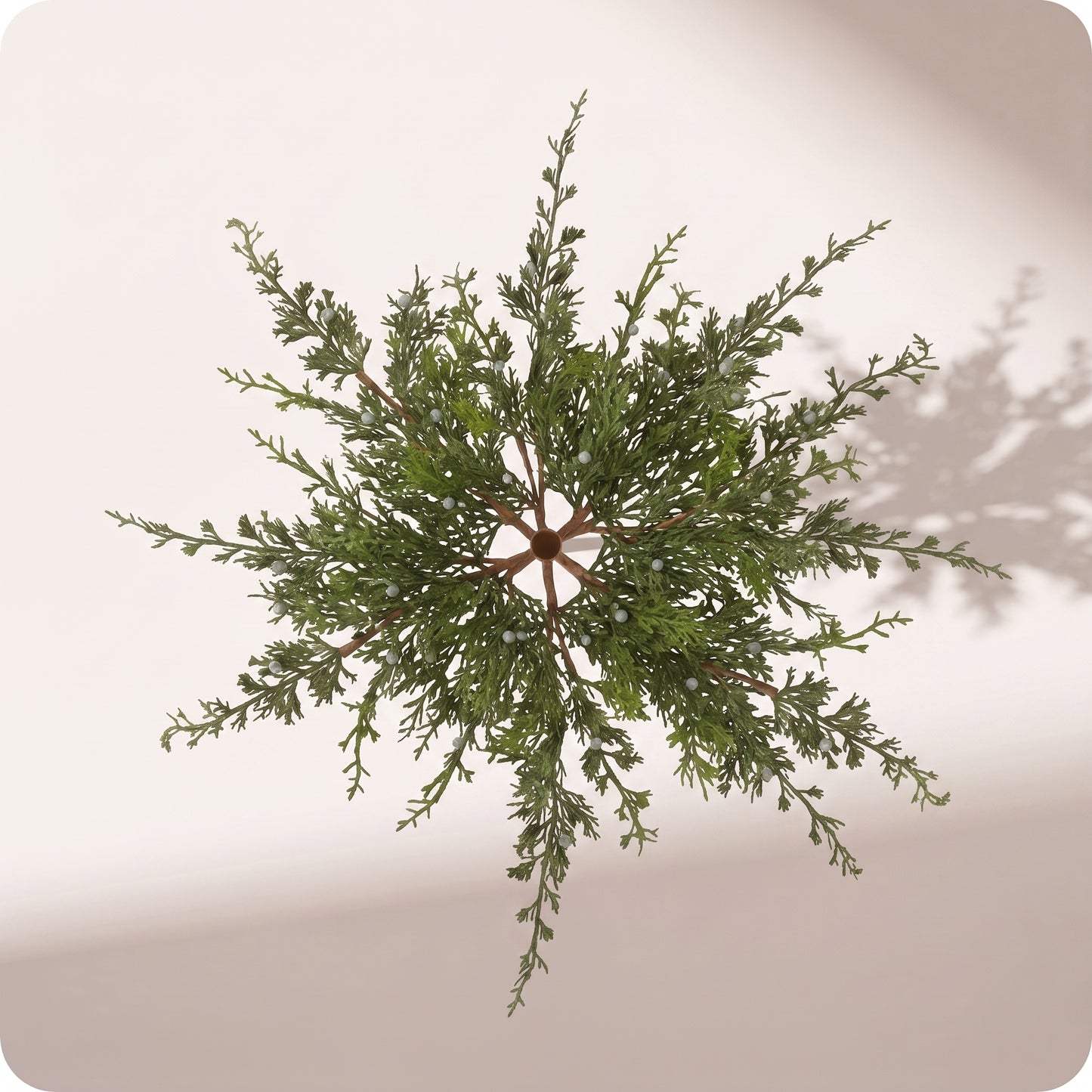 Rama juniper con berry spray